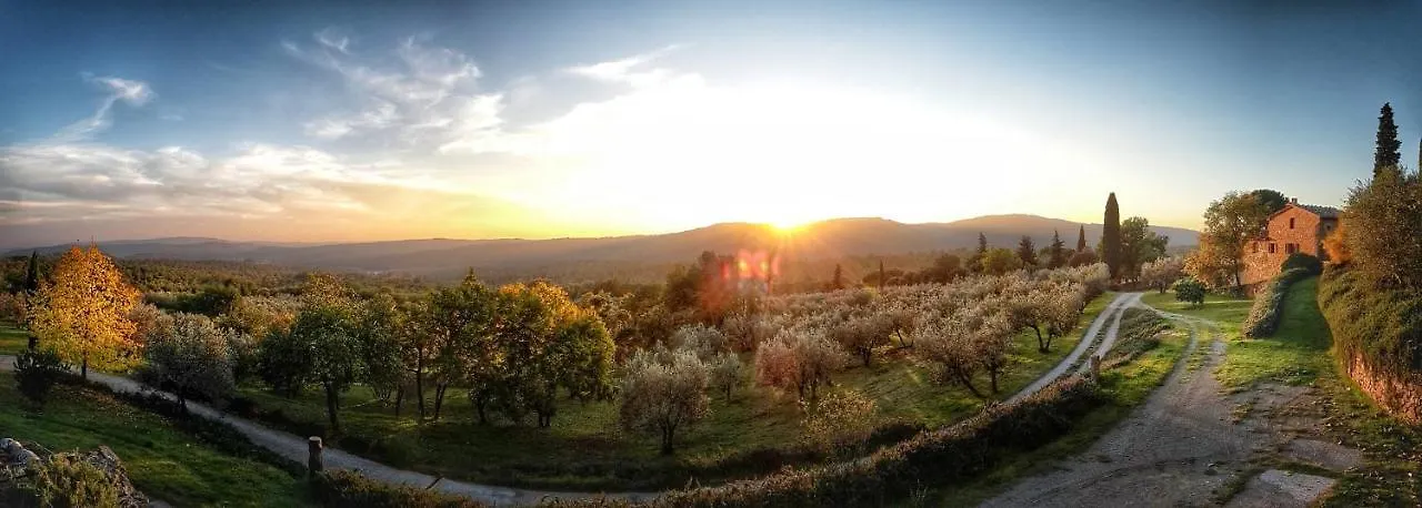 Podere Argena Lucignano Apartment