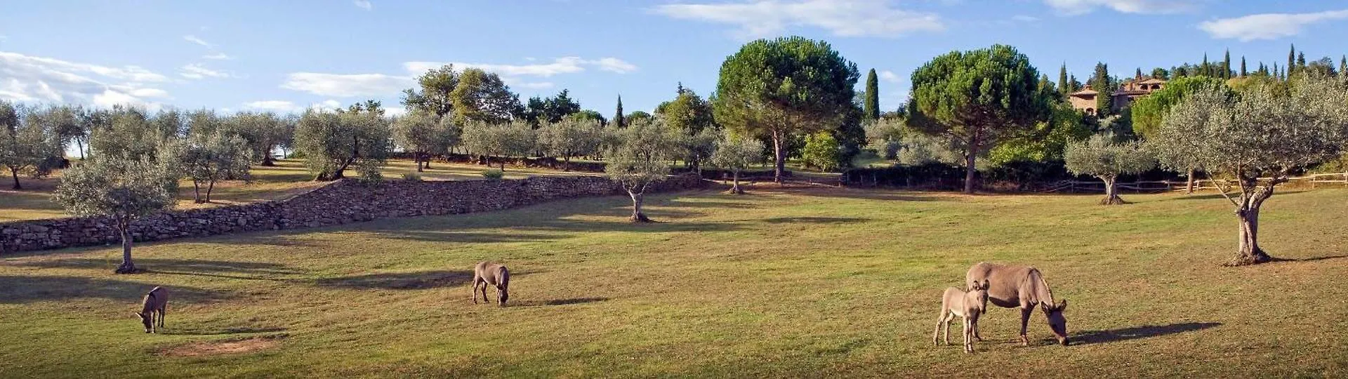 Apartment Podere Argena Lucignano